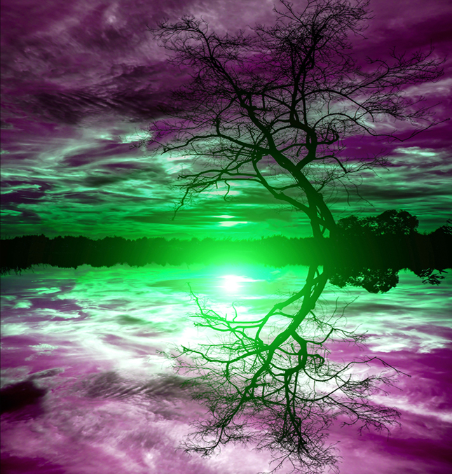A bizarre alter-world image of a black tree over sky or water with a gree sun and a purple sky.